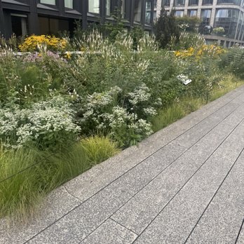 The High Line - Parks Near Me - New York, New York
