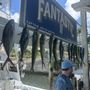Fantastic Charters