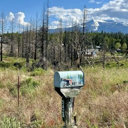 City of Weed - 05.26.24 The Mill Fire just north of Weed (2022)