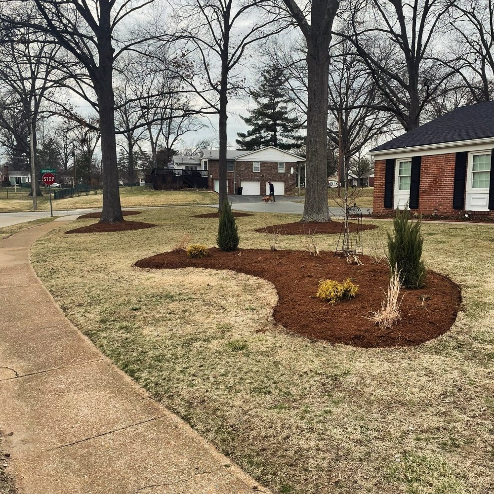 Slide of Avalos Landscaping and Lawn Care