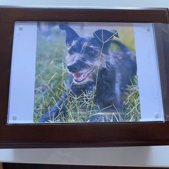 Small Paws Cremations - Pet Cremation Services Near Me - Los Angeles, California
