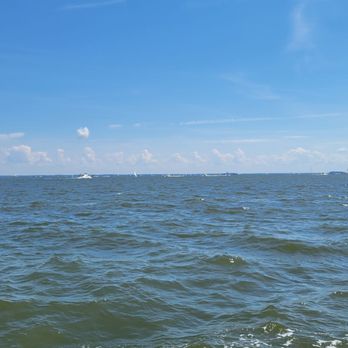 Annapolis Maritime Museum & Park - Museums Near Me - Annapolis, Maryland Annapolis Maritime Museum & Park - Museums Near Me - Annapolis, Maryland