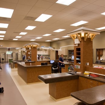 Triangle Veterinary Referral Hospital - Veterinarians Near Me - Durham, North Carolina Triangle Veterinary Referral Hospital - Veterinarians Near Me - Durham, North Carolina