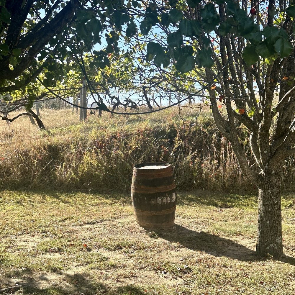 Valhalla Vineyards - Wineries Near Me - Roanoke, Virginia Valhalla Vineyards - Wineries Near Me - Roanoke, Virginia