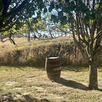 Valhalla Vineyards - Wineries Near Me - Roanoke, Virginia