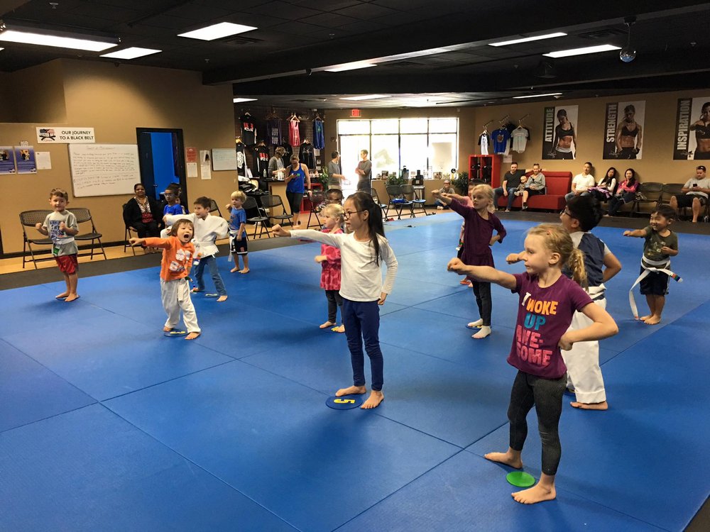THE KARATE ACADEMY OYSTER BAY 1405 Photos 27 Berry Hill Rd