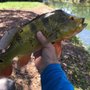 Photo of F & F Bait and Tackle