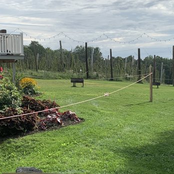 Bigelow Brewing Company - Hops - Breweries Near Me - Skowhegan, Maine Bigelow Brewing Company - Hops - Breweries Near Me - Skowhegan, Maine