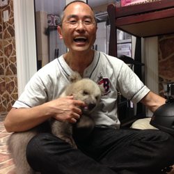 Suen Halton, DDS