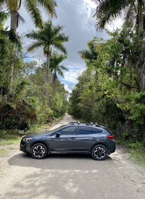 Fakahatchee Strand Preserve State Park by null