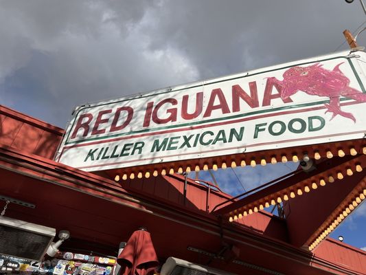 Red Iguana by null