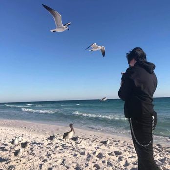 Navarre Beach - Mammas girl- how time flies- capturing each moment at the beach - Beaches Near Me - Navarre, Florida