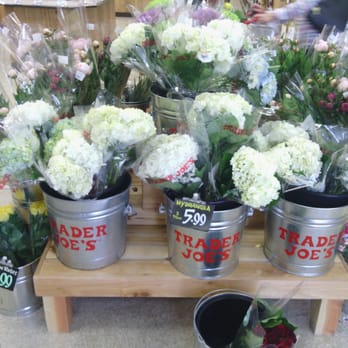 Trader Joe's - Fresh hydrangeas. - Grocery Near Me - Bailey's Crossroads, Virginia Trader Joe's - Fresh hydrangeas. - Grocery Near Me - Bailey's Crossroads, Virginia