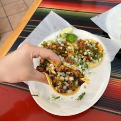 Taqueria El Burrito - Chicken taco