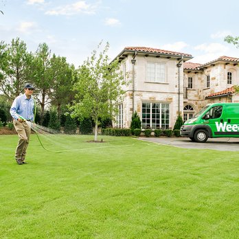 Weedex Lawn Care - a man mowing the lawn - Lawn Services Near Me - Lewisville, Texas Weedex Lawn Care - a man mowing the lawn - Lawn Services Near Me - Lewisville, Texas