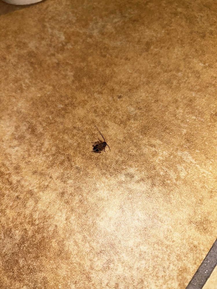 Crowne Plaza Greenville - wedding in Greenville, SC