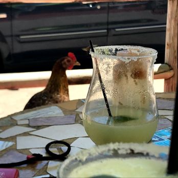 Buga’s Mexican Restaurant - Eyeing my margarita - Mexican Near Me Buga’s Mexican Restaurant - Eyeing my margarita - Mexican Near Me