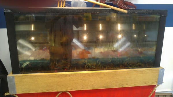 Pellegrini's Prime Meats, Fish & Catering by null