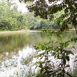 Lagoa zumbi - Privates Foto