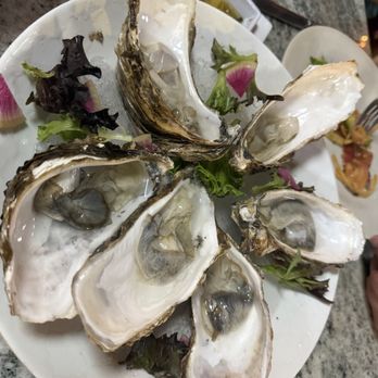 Crabster - Oysters. - Seafood Near Me - Progreso, YUC