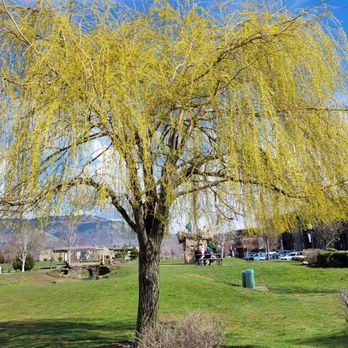 Hood River Waterfront Park - Parks Near Me - Hood River, Oregon Hood River Waterfront Park - Parks Near Me - Hood River, Oregon