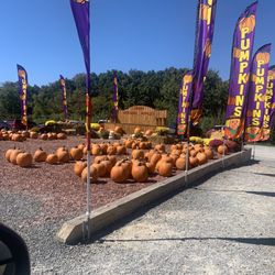 Oren Wooden's Apple House - Fall festival time