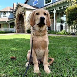 Odin in front of their home and training facility. Odin in front of their home and training facility.