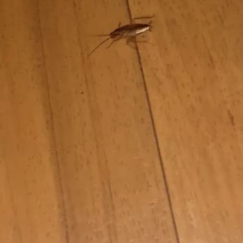 Motel 6 - Cockroach - Hotels Near Me - Ogden, Utah