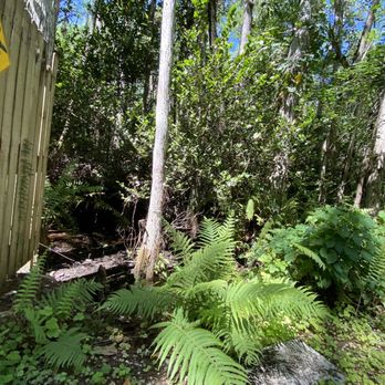 Big Cypress Gallery - Art Galleries Near Me - Ochopee, Florida