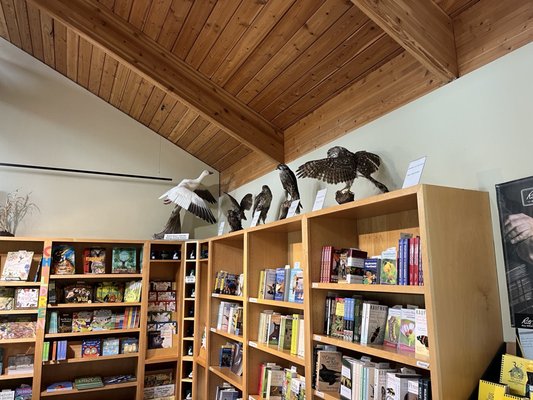 Billy Frank Jr. Nisqually National Wildlife Refuge by null