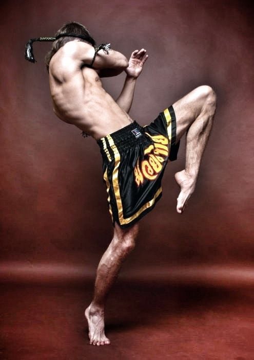 8 Venoms Muay Thai Logo