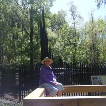 Big Tree Park - Scruffy person in front of what is left of the great old tree - Parks Near Me - Longwood, Florida