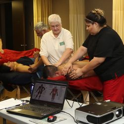 Houston School Of Massage - Massage Therapy Training in Houston