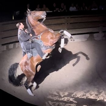 Dolly Parton's Stampede - Loved this horse! - Performing Arts Near Me - Branson, Missouri Dolly Parton's Stampede - Loved this horse! - Performing Arts Near Me - Branson, Missouri