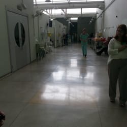Hospital Veterinário Anhembi Morumbi - Hospital veterinário de referência
