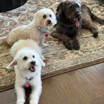 PetSmart - Jackson, Wilson & Zachary - Pet Stores Near Me - Fort Worth, Texas