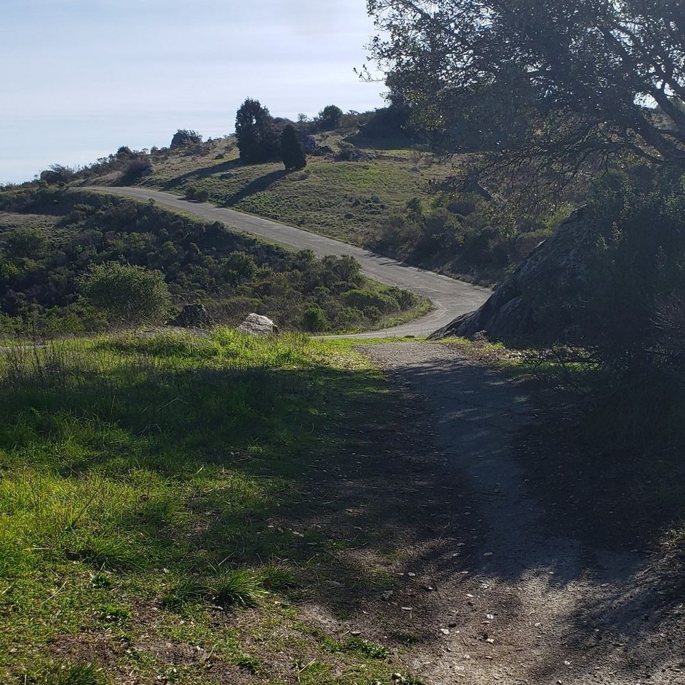Ring Mountain Preserve - Parks Near Me - Corte Madera, California Ring Mountain Preserve - Parks Near Me - Corte Madera, California