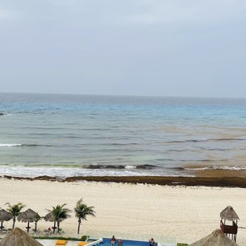 Krystal Cancún - Room view was beach was dirty they don't pick clean up the seaweed - Resorts Near Me - Cancún, ROO Krystal Cancún - Room view was beach was dirty they don't pick clean up the seaweed - Resorts Near Me - Cancún, ROO