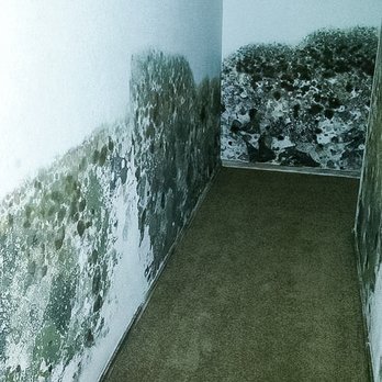TKOR Solutions - Damage Restoration Near Me - Elmsford, New York