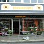 Photo of Sonnenblume Hugette Lounes