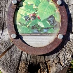 Guemes Channel Trail
