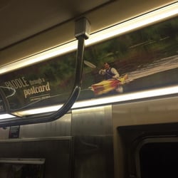 Susan's Pleasant Pheasant Farm - I love paddling to eyes in the subway. Good souls seek us out.