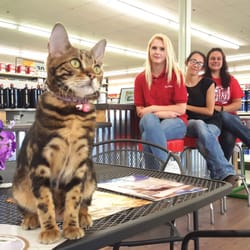Carroll County True Value - Be sure to say hello to the Paint Cat at Carroll County True Value in Delphi, IN