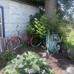 The Williams Company Store - Cute backyard where they have live music