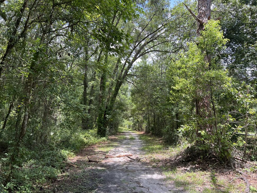 Old Fort King Trail Image