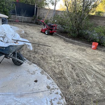 United West Coast - Starting the desperately needed work - Tree Services Near Me United West Coast - Starting the desperately needed work - Tree Services Near Me