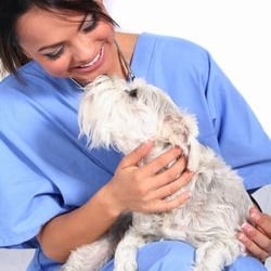 Pet Memories Cremation Service - Our family has dedicated themselves to preserving your beloved pet's loving memory. Call us at (405) 840-0800.