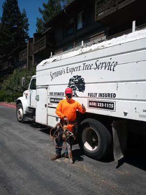 Serrano's Expert Tree Service - Serrano’s Expert Tree Service has been serving residents in the Bay Area for more than 35 years, providing exceptional care for properties of all sizes with quality work, fast responses, and reasonable rates. Each employee at our company is committed to performing safe, efficient, and excellent tree services. We ensure the highest tree care standards for our customers, always putting their needs first. You can rest assured that you are putting your trees and property in the hands of experienced, qualified tree care professionals. Serrano's Expert Tree Service - Serrano’s Expert Tree Service has been serving residents in the Bay Area for more than 35 years, providing exceptional care for properties of all sizes with quality work, fast responses, and reasonable rates. Each employee at our company is committed to performing safe, efficient, and excellent tree services. We ensure the highest tree care standards for our customers, always putting their needs first. You can rest assured that you are putting your trees and property in the hands of experienced, qualified tree care professionals.