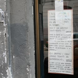 Il Brutto Anatroccolo