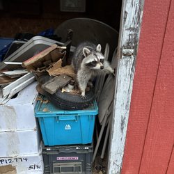 Jenson’s Wildlife Managment